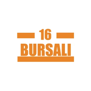 16 Bursalı Araba Sticker 17x17 Cm Turuncu