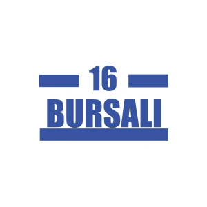 16 Bursalı Araba Sticker 17x17 Cm Mavi