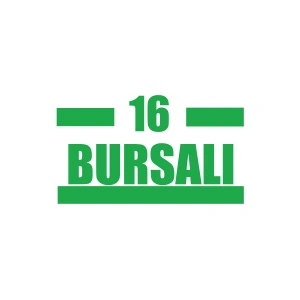 16 Bursalı Araba Sticker 17x17 Cm Yeşil