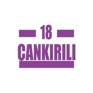 18 Çankırılı Araba Sticker 17x17 Cm Mor