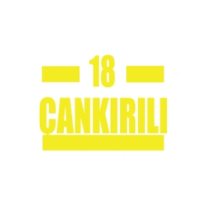 18 Çankırılı Araba Sticker 17x17 Cm Sarı