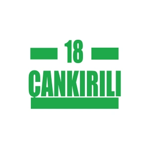 18 Çankırılı Araba Sticker 17x17 Cm Yeşil