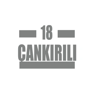 18 Çankırılı Araba Sticker 17x17 Cm Gri