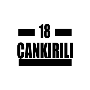 18 Çankırılı Araba Sticker 17x17 Cm Siyah