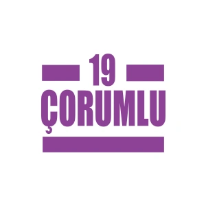 19 Çorumlu Araba Sticker 17x17 Cm Mor