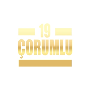 19 Çorumlu Araba Sticker 17x17 Cm Gold