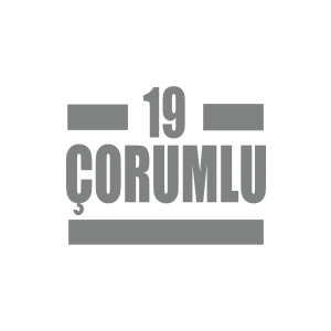 19 Çorumlu Araba Sticker 17x17 Cm Gri