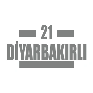 21 Diyarbakırlı Araba Sticker 17x17 Cm Gri