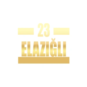 23 Elazığlı Araba Sticker 17x17 Cm Gold