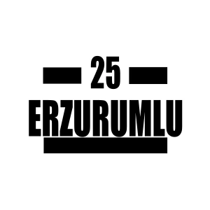 25 Erzurumlu Araba Sticker 17x17 Cm Siyah