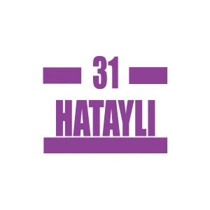 31 Hataylı Araba Sticker 17x17 Cm Mor