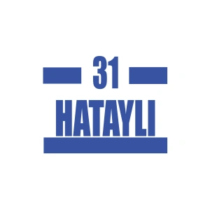 31 Hataylı Araba Sticker 17x17 Cm Mavi