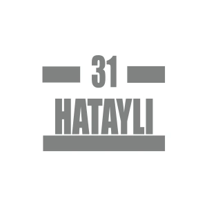 31 Hataylı Araba Sticker 17x17 Cm Gri