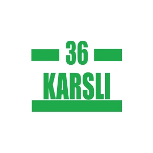 36 Karslı Araba Sticker 17x17 Cm Yeşil