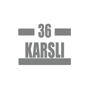36 Karslı Araba Sticker 17x17 Cm Gri