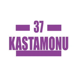 37 Kastamonu Araba Sticker 17x17 Cm Mor