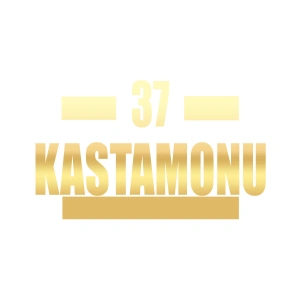 37 Kastamonu Araba Sticker 17x17 Cm Gold