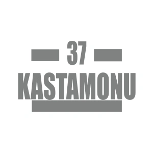 37 Kastamonu Araba Sticker 17x17 Cm Gri