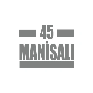 45 Manisalı Araba Sticker 17x17 Cm Gri