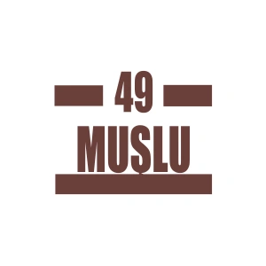 49 Muşlu Araba Sticker 17x17 Cm Kahverengi