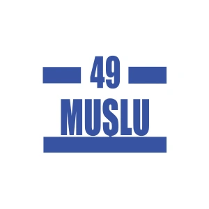 49 Muşlu Araba Sticker 17x17 Cm Mavi