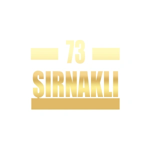 73 Şırnaklı Araba Sticker 17x17 Cm Gold