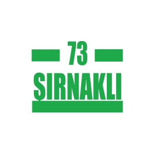 73 Şırnaklı Araba Sticker 17x17 Cm Yeşil