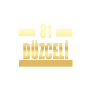 81 Düzceli Araba Sticker 17x17 Cm Gold