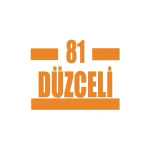 81 Düzceli Araba Sticker 17x17 Cm Turuncu