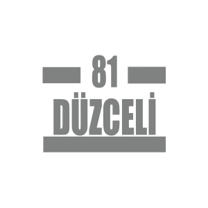 81 Düzceli Araba Sticker 17x17 Cm Gri
