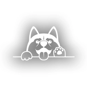 El Sallayan Köpek Araba Sticker 17x17 Cm Beyaz