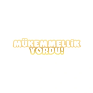Mükemmellik Yordu Araba Sticker 17x17 Cm Gold