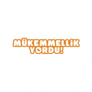 Mükemmellik Yordu Araba Sticker 17x17 Cm Turuncu
