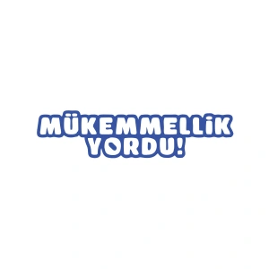 Mükemmellik Yordu Araba Sticker 17x17 Cm Mavi