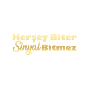Her Şey Biter Sinyal Bitmez Araba Sticker 17x17 Cm Gold