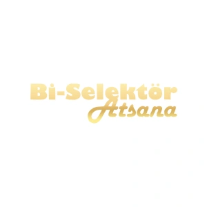 Bi Selektör Atsana Araba Sticker 17x17 Cm Gold