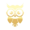 Sevimli Baykuş Sticker 17x17 Cm Gold