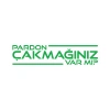 Pardon Çakmağınız var mı Sticker 17x17 Cm Yeşil