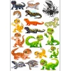 İguana Sticker Set