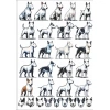 Köpek Sticker Set