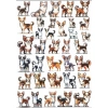 Köpek Sticker Set