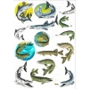 Balık Sticker Set