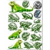 İguana Sticker Set