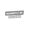 Rametli de Sollardı Araba Sticker 17x17 Cm Gri