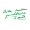 Bütün Ümidim Gençliktedir Araba Sticker 17x17 Cm Yeşil