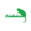 Satranç Oynayan Kedi Fare Araba Sticker 17x17 Cm Yeşil