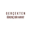 Gerçekten İğrenç Bir Hayat Araba Sticker 17x17 Cm Kahverengi