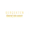 Gerçekten İğrenç Bir Hayat Araba Sticker 17x17 Cm Gold