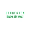 Gerçekten İğrenç Bir Hayat Araba Sticker 17x17 Cm Yeşil