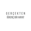Gerçekten İğrenç Bir Hayat Araba Sticker 17x17 Cm Gri